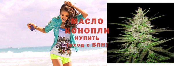 apvp Каменка