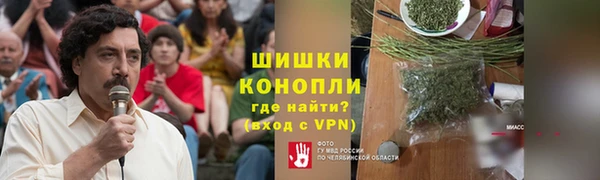 ПСИЛОЦИБИНОВЫЕ ГРИБЫ Калининец