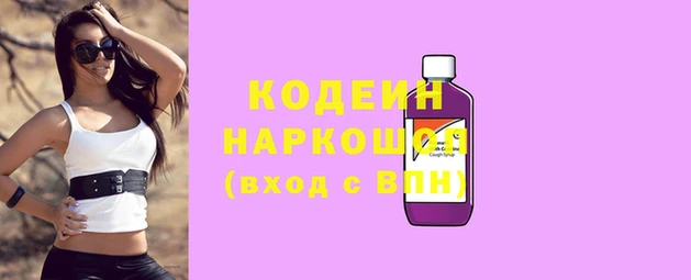 скорость Каменногорск