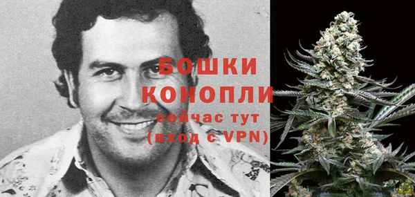 apvp Каменка