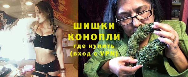 apvp Каменка