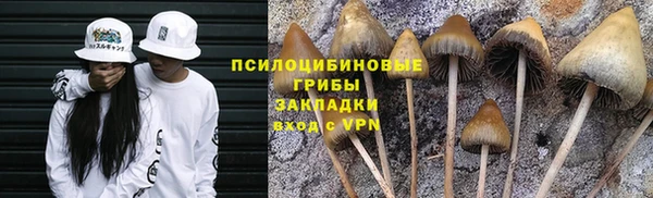 apvp Каменка