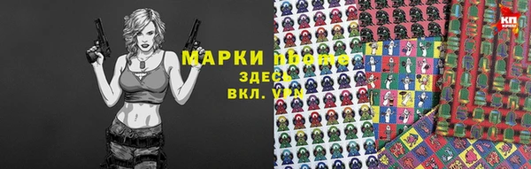 apvp Каменка