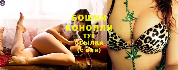 apvp Каменка