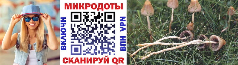 Псилоцибиновые грибы Cubensis  что такое наркотик  Набережные Челны 