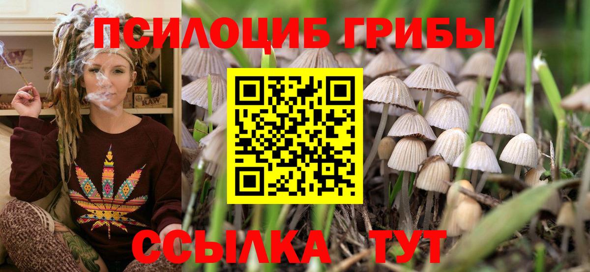 Псилоцибиновые грибы прущие грибы  Псилоцибиновые грибы Magic Shrooms  Вход с VPN  Набережные Челны 